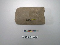 藏品(石杵)的圖片